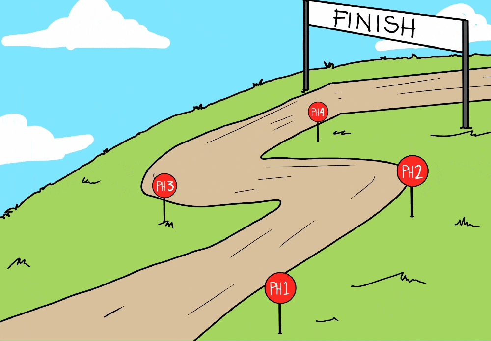 Roadmap Animation